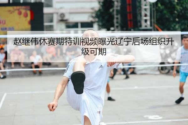 赵继伟休赛期特训视频曝光辽宁后场组织升级可期