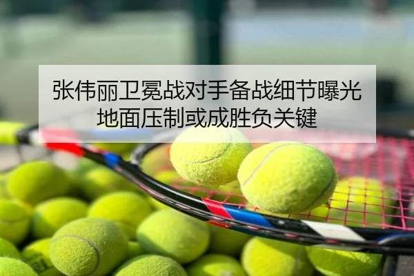 张伟丽卫冕战对手备战细节曝光 地面压制或成胜负关键